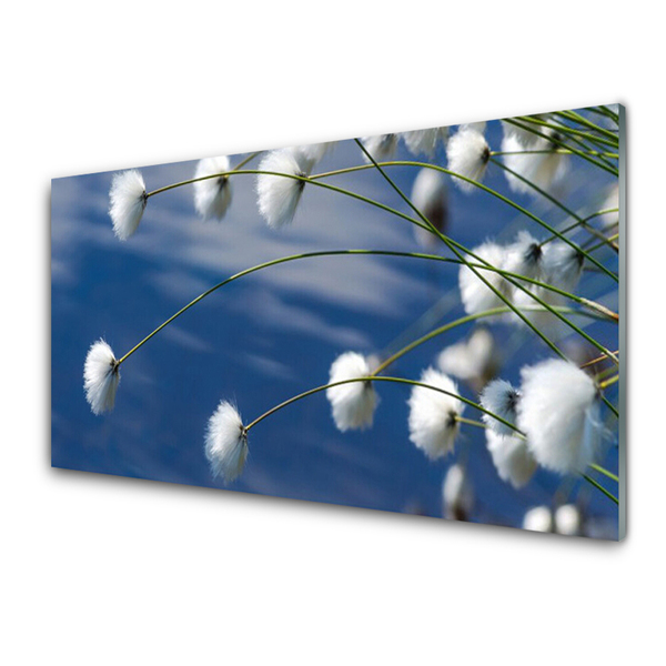 Glasbild aus Plexiglas® Blumen Pflanzen