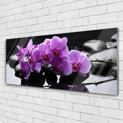 Glasbild aus Plexiglas® Blumen Steine Pflanzen