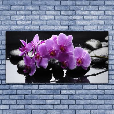 Glasbild aus Plexiglas® Blumen Steine Pflanzen