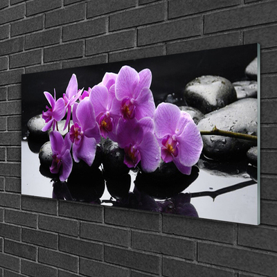 Glasbild aus Plexiglas® Blumen Steine Pflanzen