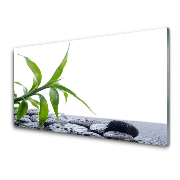 Glasbild aus Plexiglas® Blatt Pflanzen