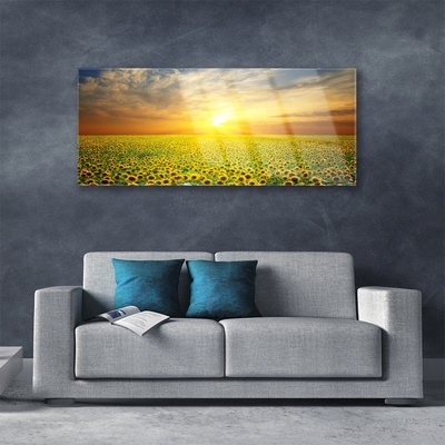 Glasbild aus Plexiglas® Sonne Wiese Sonnenblumen Natur