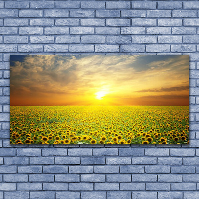 Glasbild aus Plexiglas® Sonne Wiese Sonnenblumen Natur