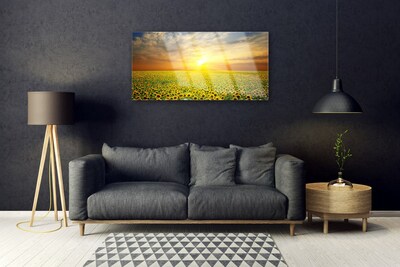 Glasbild aus Plexiglas® Sonne Wiese Sonnenblumen Natur