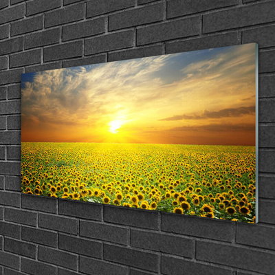 Glasbild aus Plexiglas® Sonne Wiese Sonnenblumen Natur