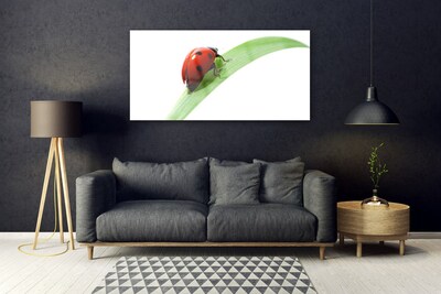 Glasbild aus Plexiglas® Marienkäfer Blatt Natur