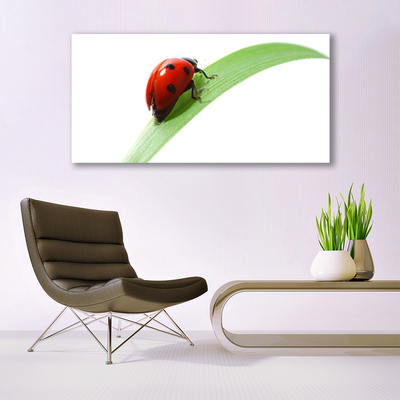 Glasbild aus Plexiglas® Marienkäfer Blatt Natur