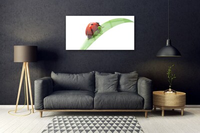 Glasbild aus Plexiglas® Marienkäfer Blatt Natur