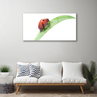 Glasbild aus Plexiglas® Marienkäfer Blatt Natur