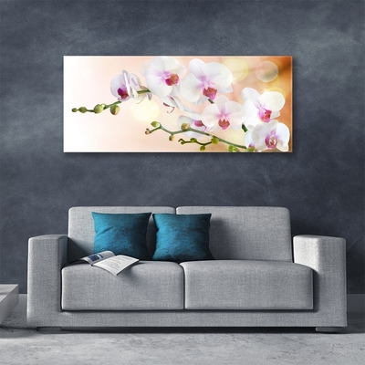 Glasbild aus Plexiglas® Blumen Pflanzen