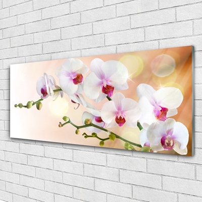 Glasbild aus Plexiglas® Blumen Pflanzen