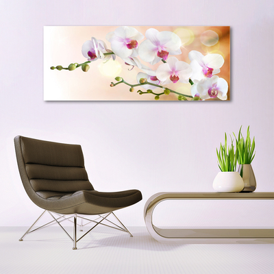 Glasbild aus Plexiglas® Blumen Pflanzen