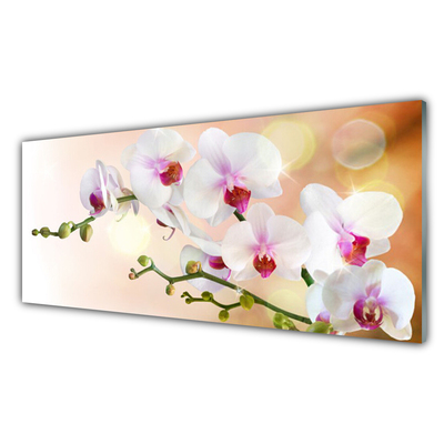 Glasbild aus Plexiglas® Blumen Pflanzen