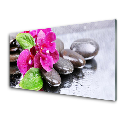 Glasbild aus Plexiglas® Blumen Steine Pflanzen