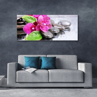 Glasbild aus Plexiglas® Blumen Steine Pflanzen