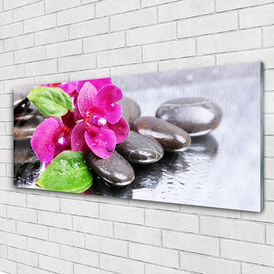 Glasbild aus Plexiglas® Blumen Steine Pflanzen