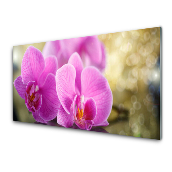 Glasbild aus Plexiglas® Blumen Pflanzen