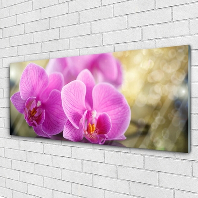 Glasbild aus Plexiglas® Blumen Pflanzen