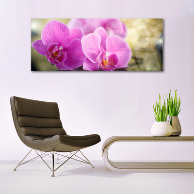 Glasbild aus Plexiglas® Blumen Pflanzen