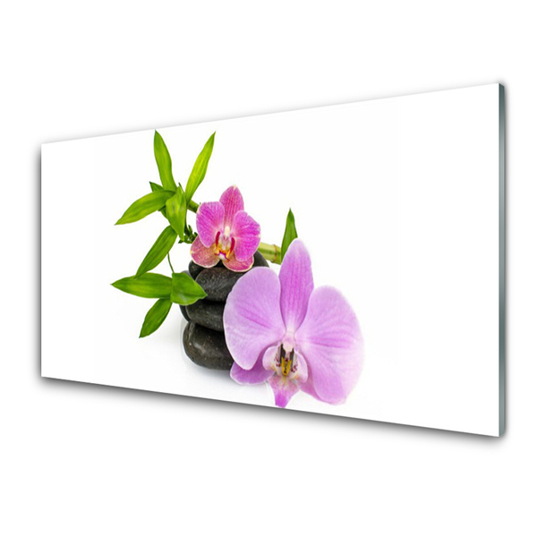 Glasbild aus Plexiglas® Blumen Steine Pflanzen