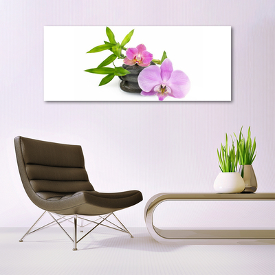 Glasbild aus Plexiglas® Blumen Steine Pflanzen