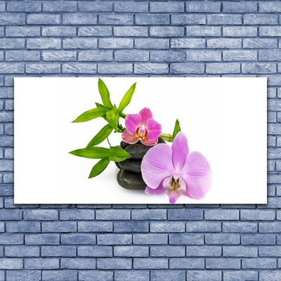 Glasbild aus Plexiglas® Blumen Steine Pflanzen