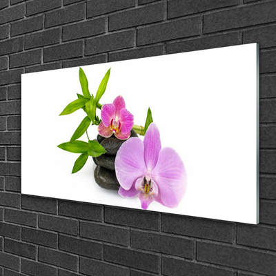 Glasbild aus Plexiglas® Blumen Steine Pflanzen