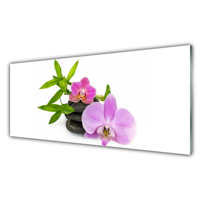 Glasbild aus Plexiglas® Blumen Steine Pflanzen