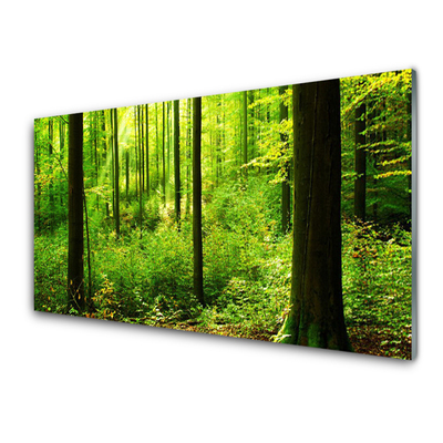 Glasbild aus Plexiglas® Wald Natur