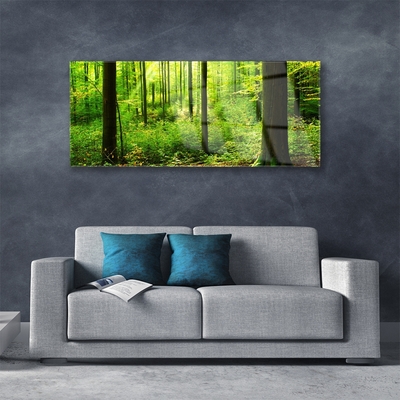 Glasbild aus Plexiglas® Wald Natur