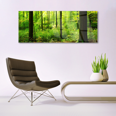 Glasbild aus Plexiglas® Wald Natur