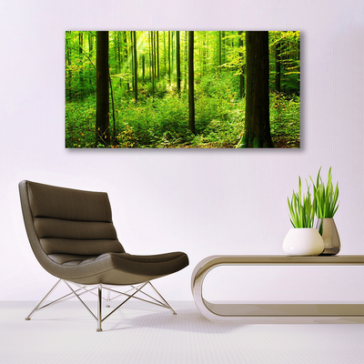 Glasbild aus Plexiglas® Wald Natur