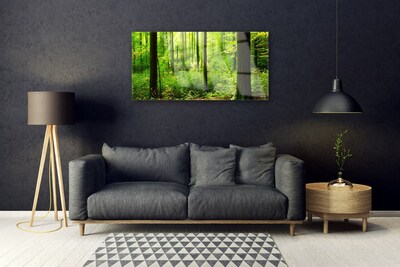 Glasbild aus Plexiglas® Wald Natur