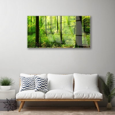 Glasbild aus Plexiglas® Wald Natur