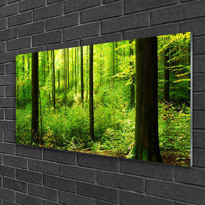 Glasbild aus Plexiglas® Wald Natur