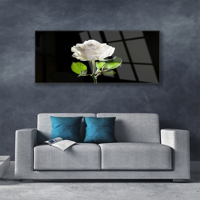 Glasbild aus Plexiglas® Rose Pflanzen