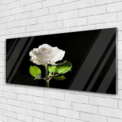 Glasbild aus Plexiglas® Rose Pflanzen