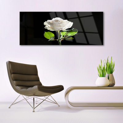 Glasbild aus Plexiglas® Rose Pflanzen