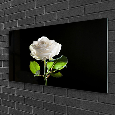 Glasbild aus Plexiglas® Rose Pflanzen