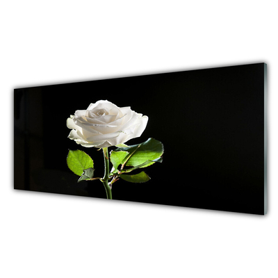 Glasbild aus Plexiglas® Rose Pflanzen