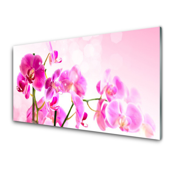 Glasbild aus Plexiglas® Blumen Pflanzen