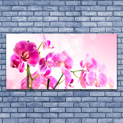 Glasbild aus Plexiglas® Blumen Pflanzen