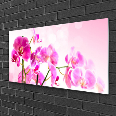 Glasbild aus Plexiglas® Blumen Pflanzen