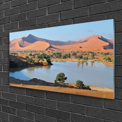 Glasbild aus Plexiglas® Bucht Wüste Landschaft