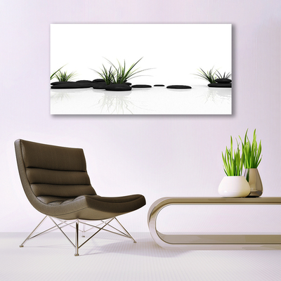 Glasbild aus Plexiglas® Gras Steine Kunst