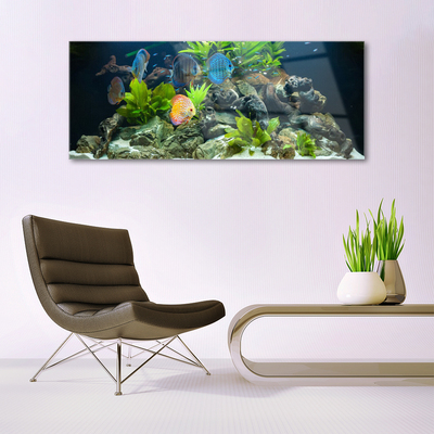 Glasbild aus Plexiglas® Fische Steine Blätter Natur