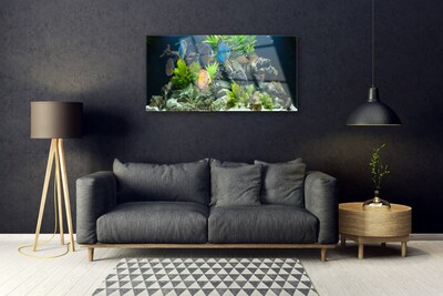 Glasbild aus Plexiglas® Fische Steine Blätter Natur