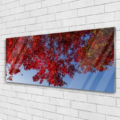 Glasbild aus Plexiglas® Zweige Blätter Pflanzen