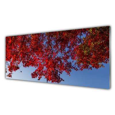 Glasbild aus Plexiglas® Zweige Blätter Pflanzen