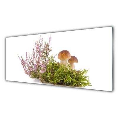 Glasbild aus Plexiglas® Pilze Pflanzen